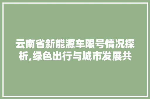 云南省新能源车限号情况探析,绿色出行与城市发展共融共生