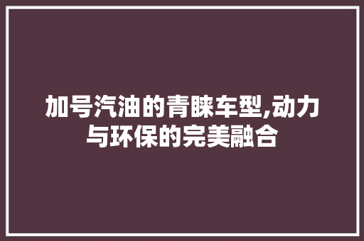 加号汽油的青睐车型,动力与环保的完美融合