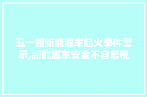 五一路新能源车起火事件警示,新能源车安全不容忽视