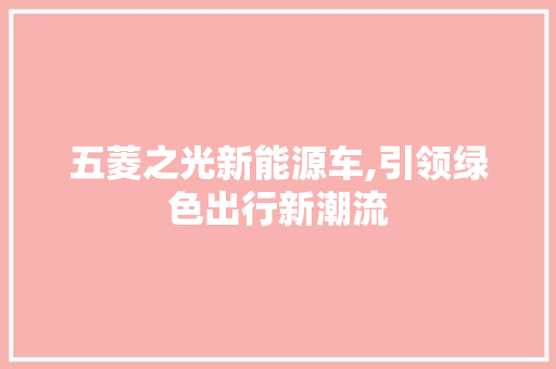 五菱之光新能源车,引领绿色出行新潮流