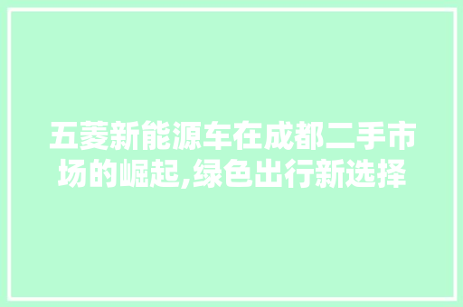 五菱新能源车在成都二手市场的崛起,绿色出行新选择