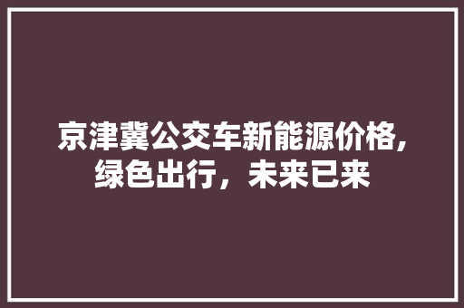 京津冀公交车新能源价格,绿色出行，未来已来