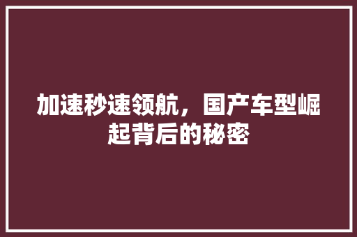 加速秒速领航，国产车型崛起背后的秘密