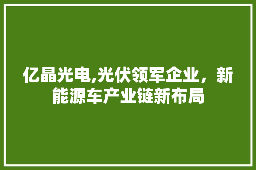 亿晶光电,光伏领军企业，新能源车产业链新布局