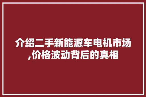 介绍二手新能源车电机市场,价格波动背后的真相