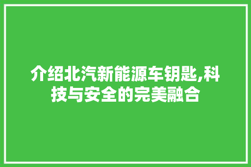 介绍北汽新能源车钥匙,科技与安全的完美融合
