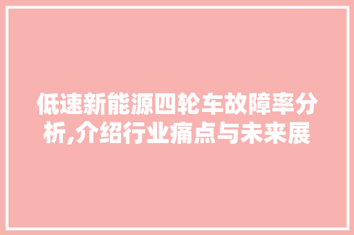 低速新能源四轮车故障率分析,介绍行业痛点与未来展望