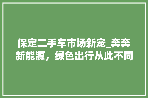 保定二手车市场新宠_奔奔新能源，绿色出行从此不同