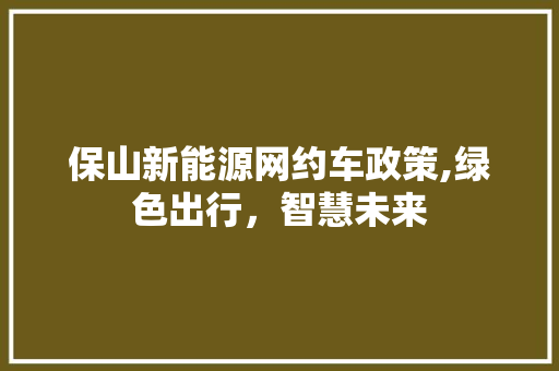 保山新能源网约车政策,绿色出行，智慧未来