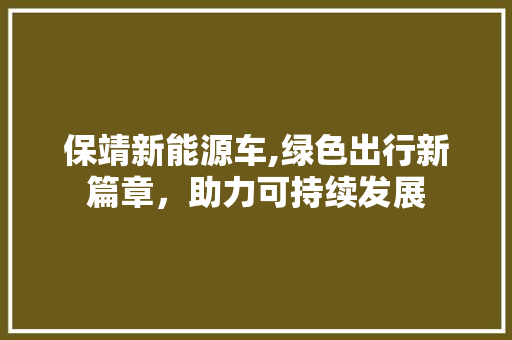 保靖新能源车,绿色出行新篇章，助力可持续发展 车载导航