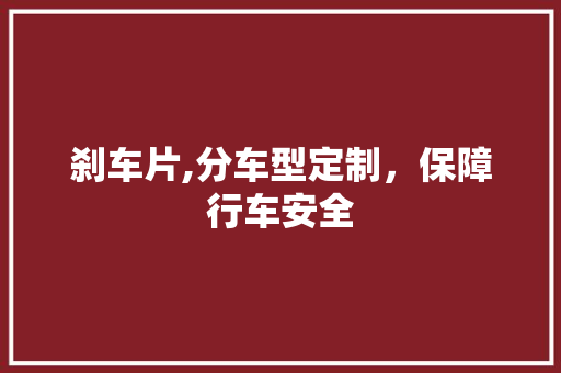 刹车片,分车型定制，保障行车安全