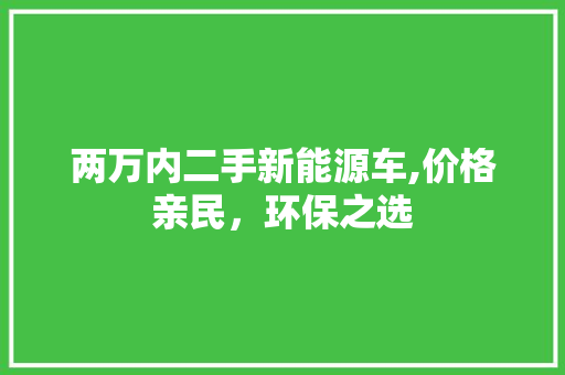 两万内二手新能源车,价格亲民，环保之选