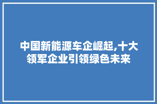 中国新能源车企崛起,十大领军企业引领绿色未来