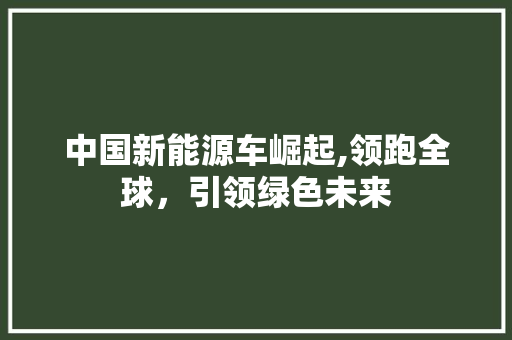 中国新能源车崛起,领跑全球，引领绿色未来