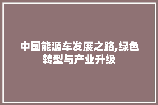 中国能源车发展之路,绿色转型与产业升级