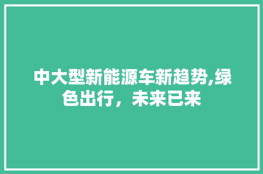 中大型新能源车新趋势,绿色出行，未来已来