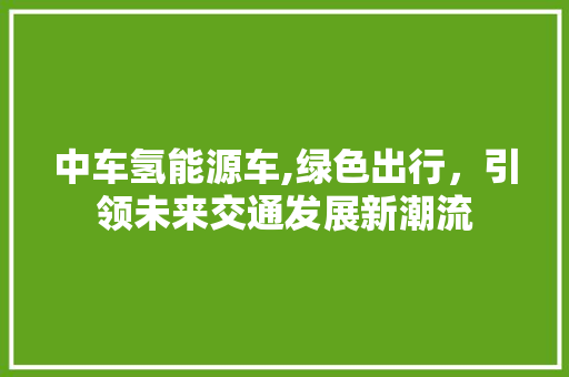 中车氢能源车,绿色出行，引领未来交通发展新潮流