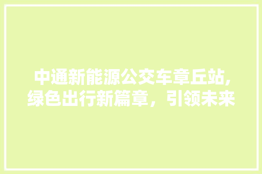 中通新能源公交车章丘站,绿色出行新篇章，引领未来交通潮流 车型评测