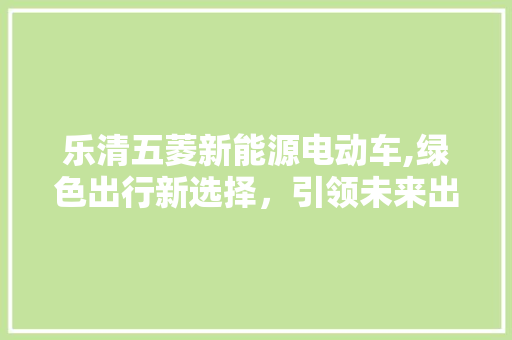 乐清五菱新能源电动车,绿色出行新选择，引领未来出行潮流