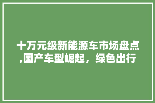 十万元级新能源车市场盘点,国产车型崛起，绿色出行新选择