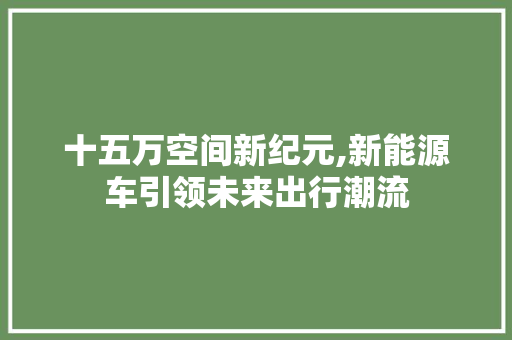 十五万空间新纪元,新能源车引领未来出行潮流