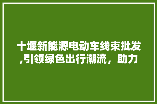 十堰新能源电动车线束批发,引领绿色出行潮流，助力汽车产业升级