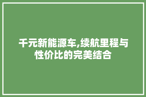 千元新能源车,续航里程与性价比的完美结合