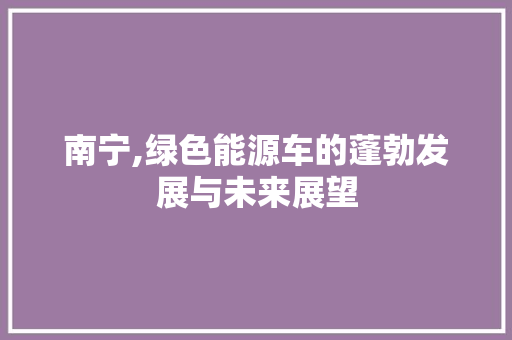 南宁,绿色能源车的蓬勃发展与未来展望