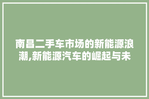 南昌二手车市场的新能源浪潮,新能源汽车的崛起与未来展望