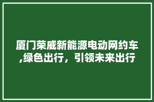 厦门荣威新能源电动网约车,绿色出行，引领未来出行新风尚