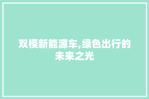 双模新能源车,绿色出行的未来之光