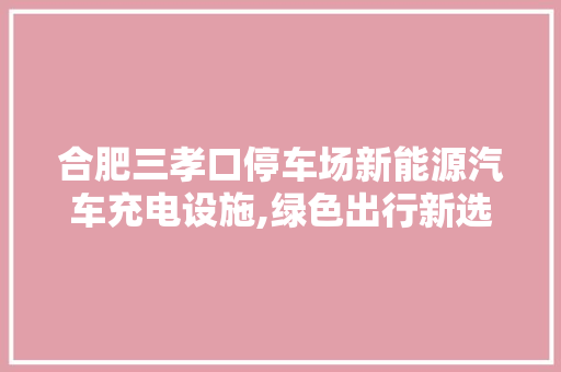 合肥三孝口停车场新能源汽车充电设施,绿色出行新选择