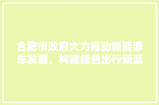 合肥市政府大力推动新能源车发展，构建绿色出行新蓝图