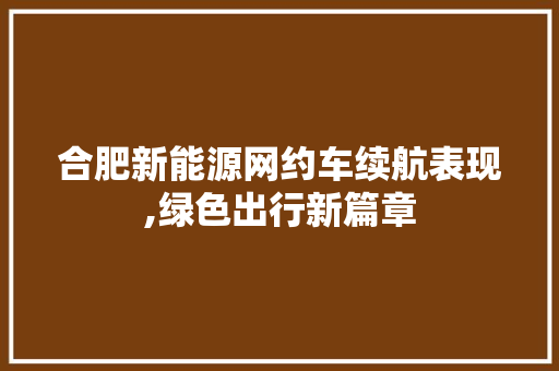 合肥新能源网约车续航表现,绿色出行新篇章