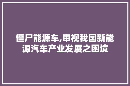 僵尸能源车,审视我国新能源汽车产业发展之困境 汽车轮胎