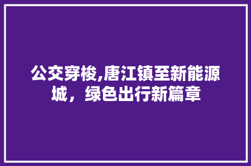 公交穿梭,唐江镇至新能源城，绿色出行新篇章