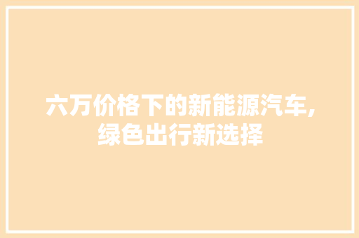 六万价格下的新能源汽车,绿色出行新选择