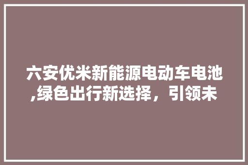 六安优米新能源电动车电池,绿色出行新选择，引领未来出行潮流