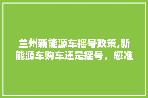 兰州新能源车摇号政策,新能源车购车还是摇号，您准备好了吗
