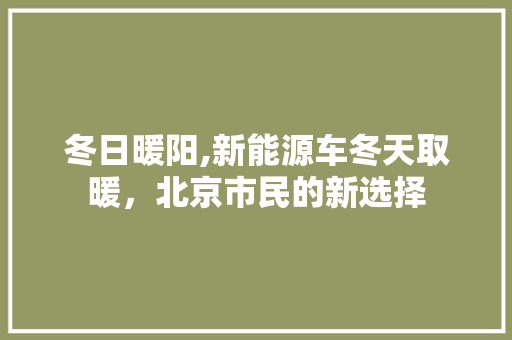 冬日暖阳,新能源车冬天取暖，北京市民的新选择
