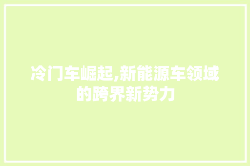 冷门车崛起,新能源车领域的跨界新势力