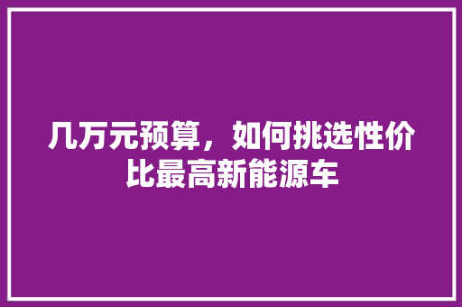 几万元预算，如何挑选性价比最高新能源车