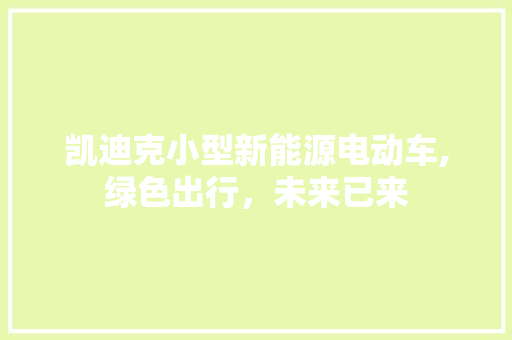 凯迪克小型新能源电动车,绿色出行，未来已来