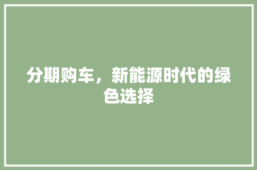 分期购车，新能源时代的绿色选择