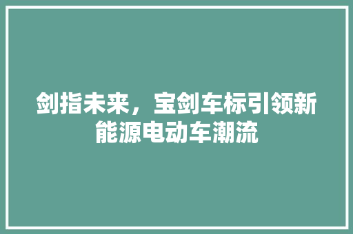 剑指未来，宝剑车标引领新能源电动车潮流
