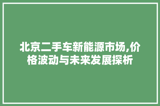 北京二手车新能源市场,价格波动与未来发展探析
