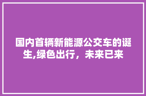 国内首辆新能源公交车的诞生,绿色出行，未来已来