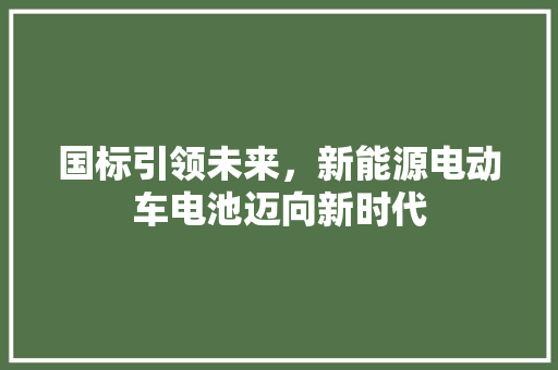 国标引领未来，新能源电动车电池迈向新时代