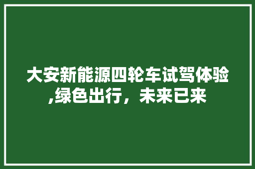 大安新能源四轮车试驾体验,绿色出行，未来已来