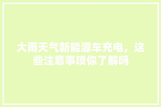 大雨天气新能源车充电，这些注意事项你了解吗